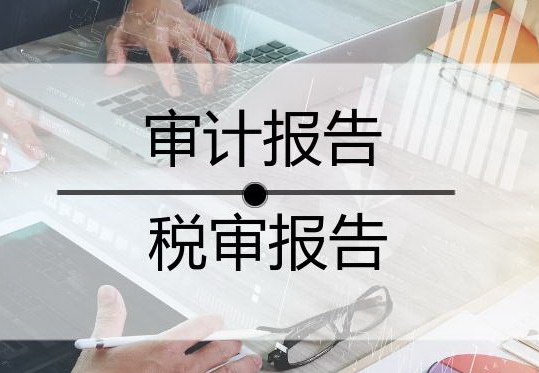年審/專項(xiàng)審計(jì)報(bào)告