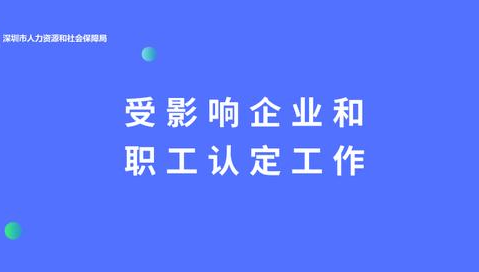 （廣東?。┦苡绊懫髽I(yè)認(rèn)定補(bǔ)貼